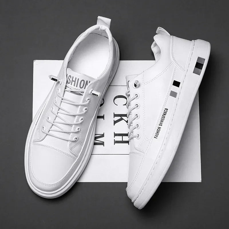 gid://shopify/MediaImage/24532698726494