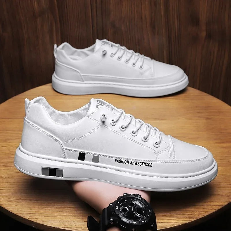 gid://shopify/MediaImage/24532698759262