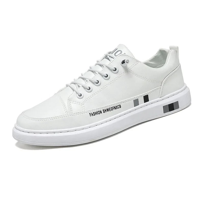 gid://shopify/MediaImage/24532698824798