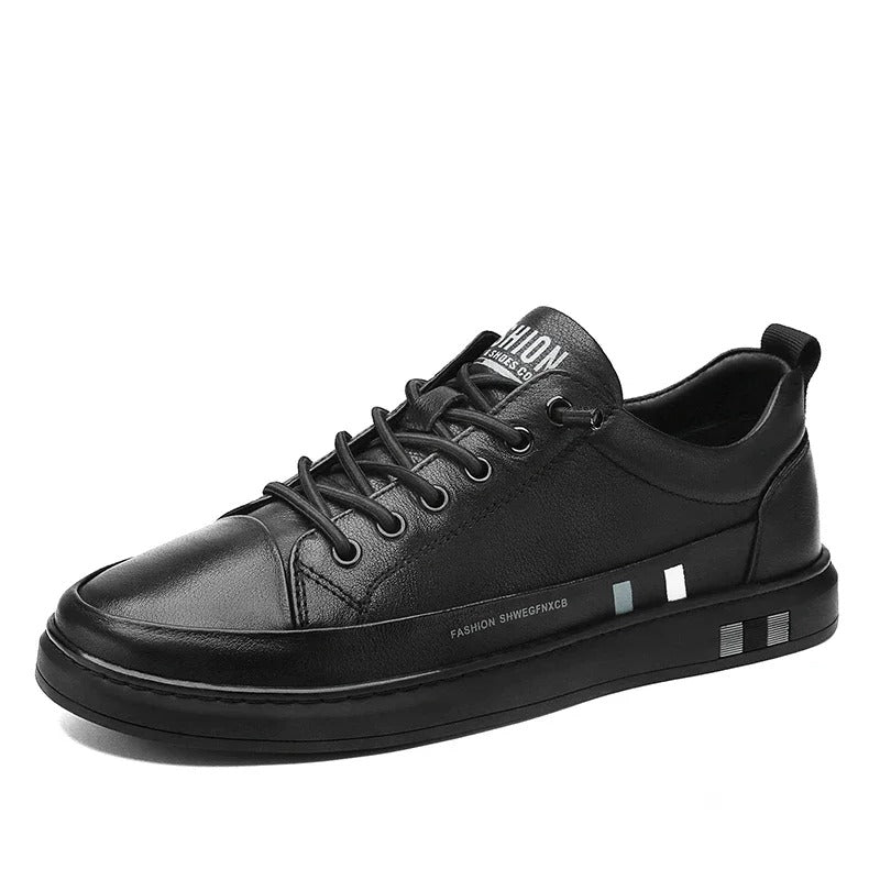 gid://shopify/MediaImage/24532698988638